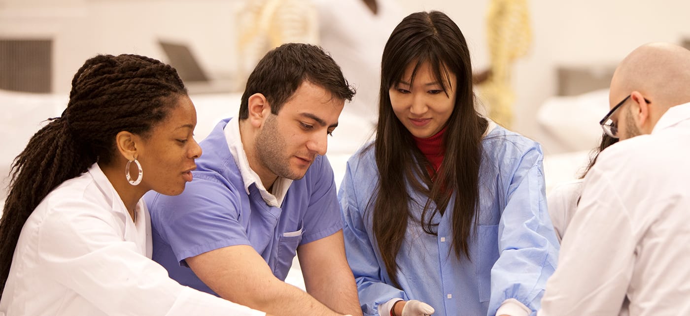 Undergraduate Programs | Touro University