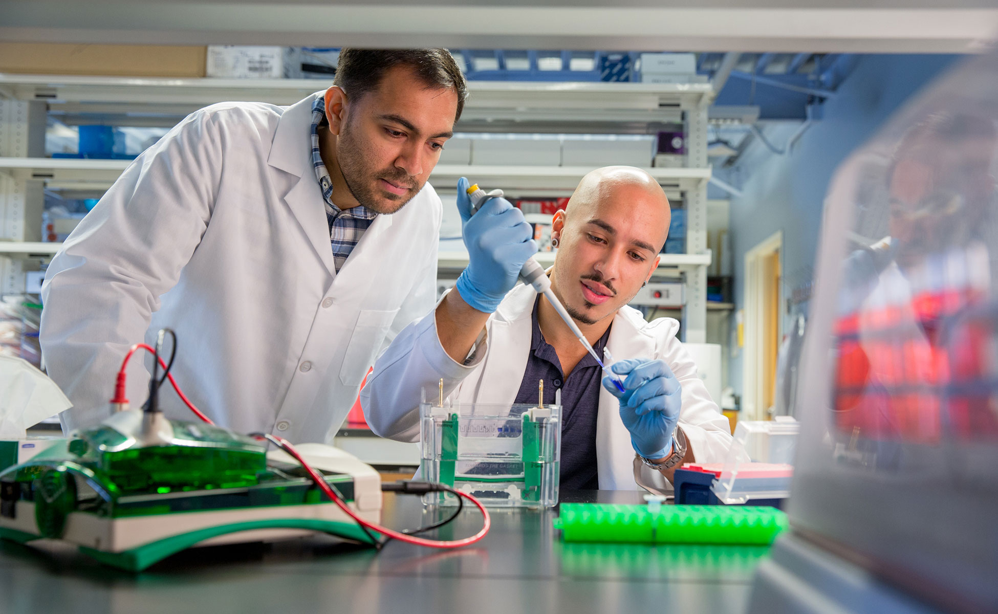 International Students