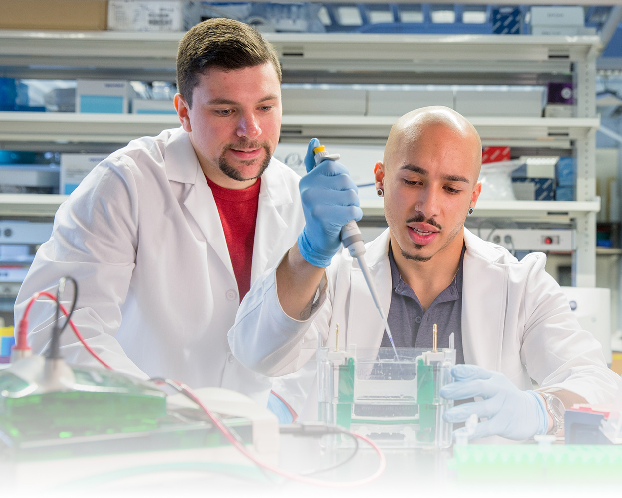 two medical students conducting research in lab