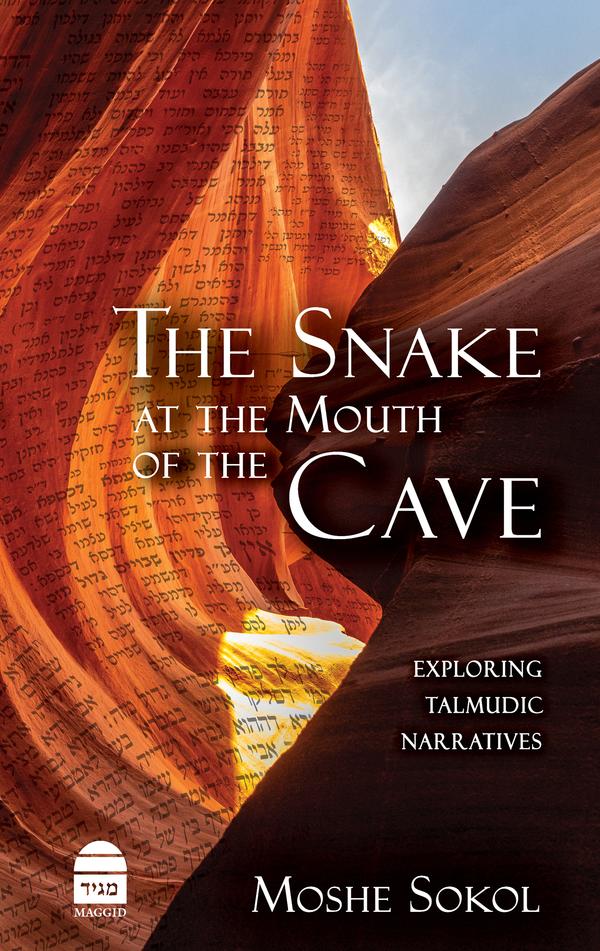 The Snake at the Mouth of the Cave book cover