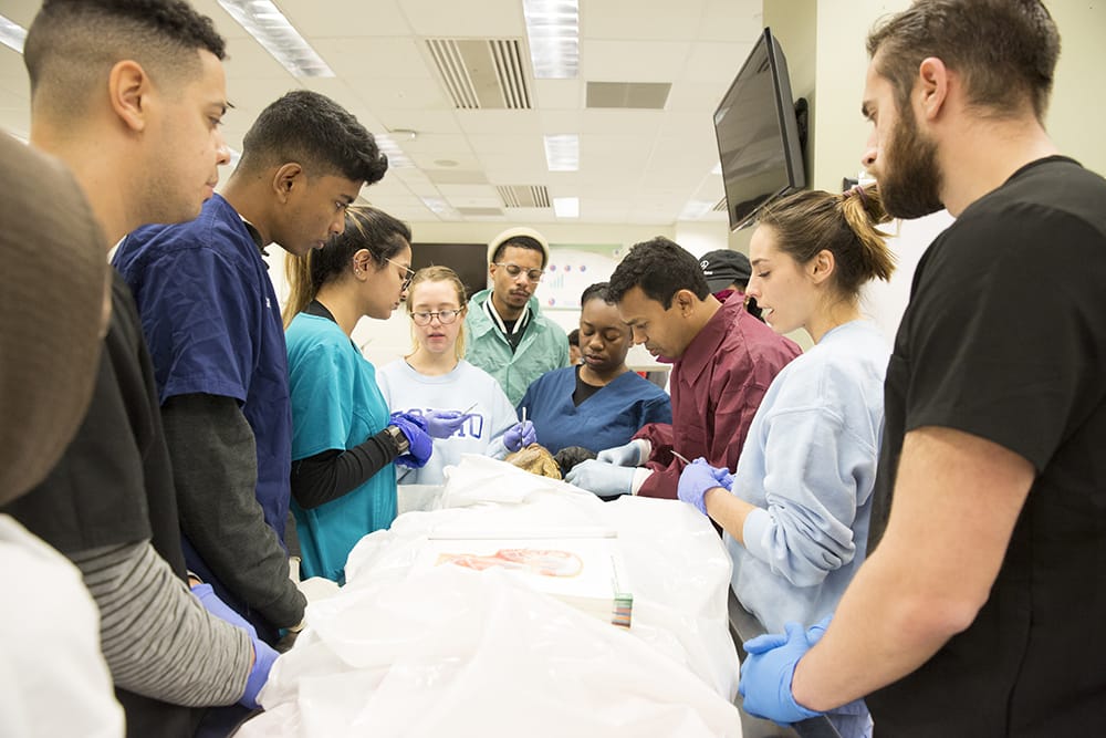 group of students gathered around a cadaver